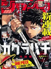 无删减韩国漫画完整版